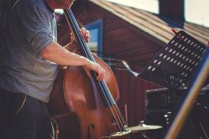 Bakgårdsfestival 2013. Foto: Thingshuset.