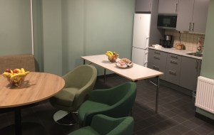 Loge på nyrenoverade Ritz. Foto: David Fryxelius.