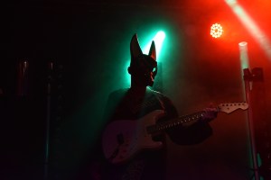 Swedish Tiger Sound på Arvika Hamnfest 2019. Foto: David Fryxelius.