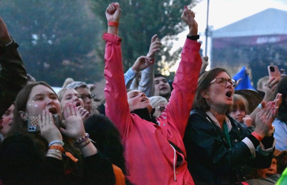 Publik på Arvika Hamnfest 2023. Foto: David Fryxelius.